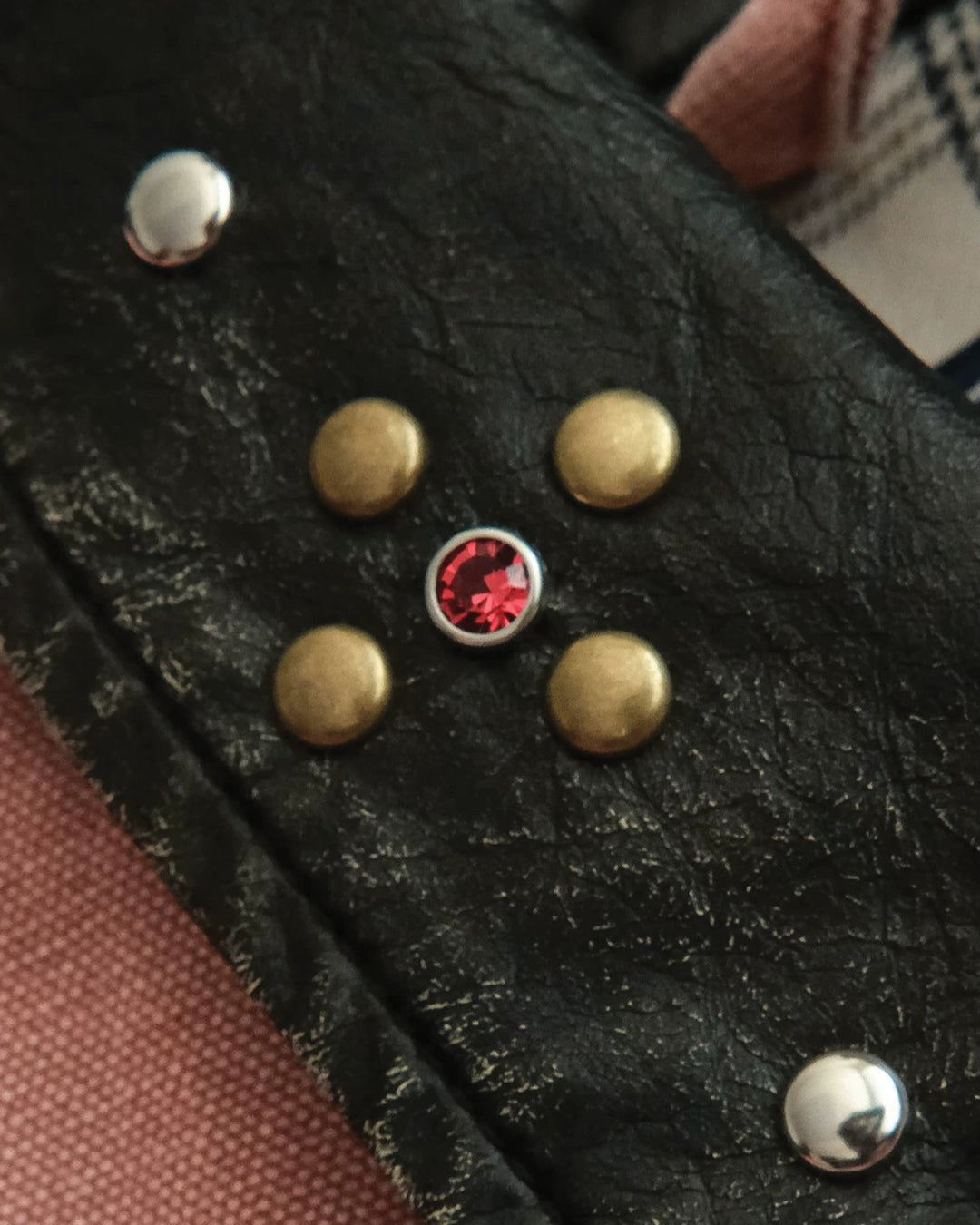 Jewel | Studded Collar Canvas Jacket